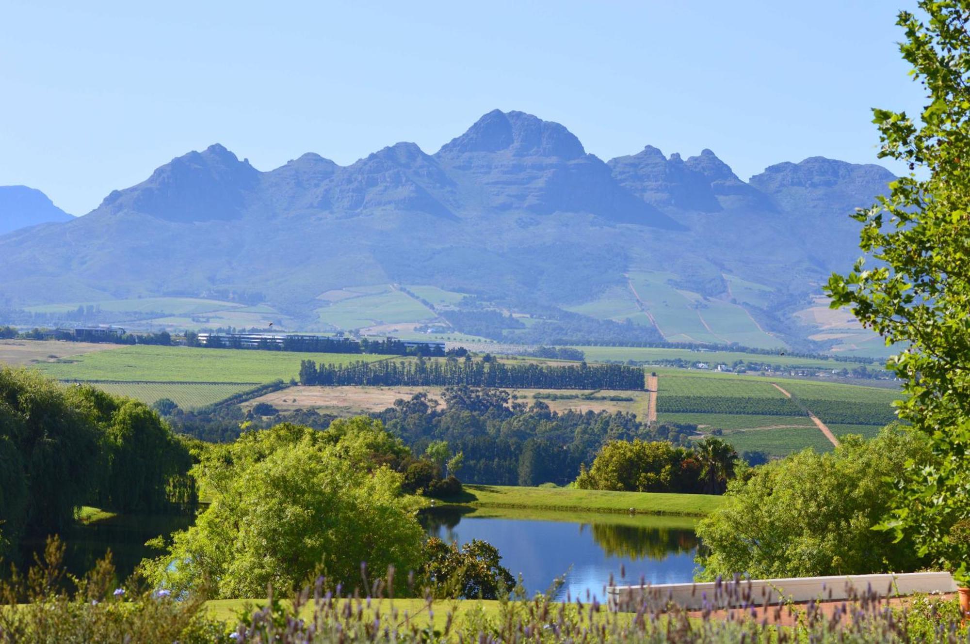 Asara Wine Estate & Hotel Stellenbosch Eksteriør billede